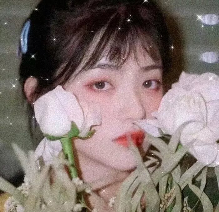 消失的白鼠